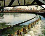 polymer treatment